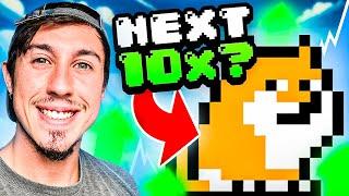 Next 100X Potential CRYPTO PlayDoge GOES LIVE - Bigger Than Axie Infinity or Floki Inu?!