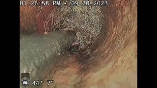 Hydro jetting tree roots out of sewer