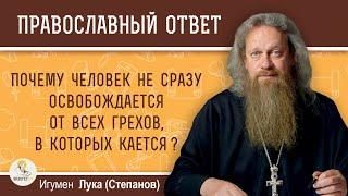 Почему человек не сразу освобождается от всех грехов, в которых кается ?  Игумен Лука (Степанов)