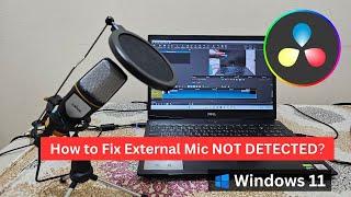 How to fix external microphone not detecting in Windows 11 applications?