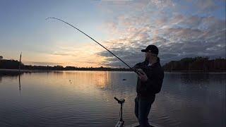 Largemouth Bass & Chain Pickerel