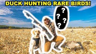 Shooting RARE BIRDS while Duck Hunting a LOADED FIELD!!! (Catch Clean Cook)