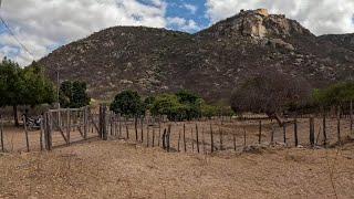 SUBINDO A SERRA DO BICO DA ARARA: DESAFIOS E MARAVILHAS NATURAIS