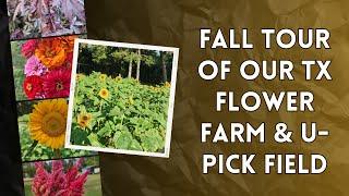 Fall Farm & U-Pick Tour of our Texas Flower Farm