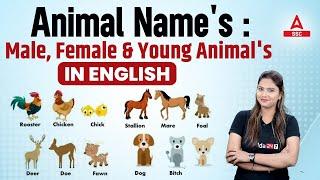 Animal Names | Male Female and Young Animals Names in English By Pratibha Mam