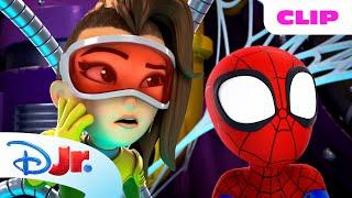 Marvel's Spidey and his Amazing Friends | Spidey & Doc Ock Team Up | @disneyjr