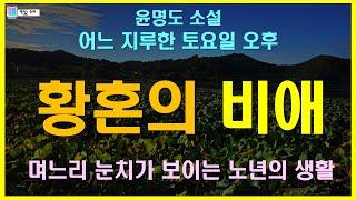 [소설]노년에 겪는 쓸쓸함과 설움...  | 어느 지루한 토요일 오후 - 윤명도 단편소설 | 책읽는 오로라 | 오디오북