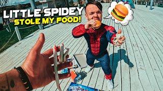 Little Spidey Stole My Food! (Funny in REAL LIFE)