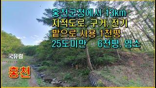 강원도 홍천임야 9,120평 작은계곡/지적도로 접한 밭으로 쓰는 평지와 완만한 경사입니다