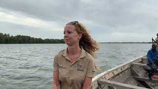 Restoring the mangrove - Wetlands - Sao Domingos, Guinea Bissau