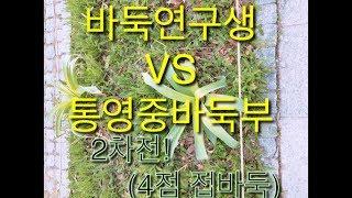 바둑연구생 VS 통영중바둑부 (4점 접바둑)  2차전