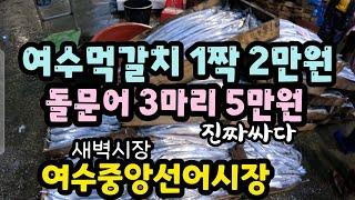 여수새벽수산시장/바닷고기 농장 먹갈치 조기 홍어 새우가 산더미처럼