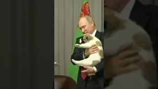 #cute #dog #dogs #moscow #putin #russia #turkmenistan