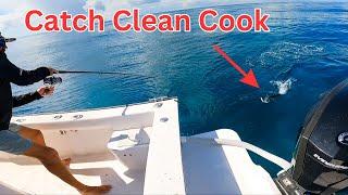 Drifting ballyhoo for BIGGER fish off Key Largo {catch clean cook}