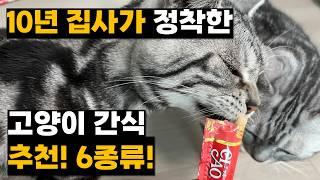 10년 집사가 정착한 고양이 간식 추천! | 고양이간식 주의점 |