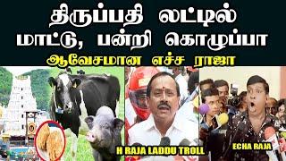 திருப்பதி லட்டில் மாட்டு, பன்றி கொழுப்பா I H RAJA LADDU TROLL #hrajatroll #tirupati #laddu #kptroll