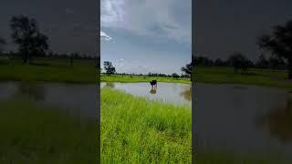 ‏جمال الطبيعة الموريتانية..Mauritanie  #موريتانيا