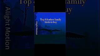 Top modern feather family birds to buy! - feather family (Modern version) #4k #2024 #edit #fyp #bird