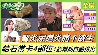 腎臟炎 腎結石痛到打滾！ 尿路結石常卡在4部位 這一招讓腎結石自動排出！7種健康加料水 讓你愛上喝水 健康2.0 20230702【完整版】鄭凱云 洪永祥 洪峻澤 黃淑惠 陳玲玲 彥寬