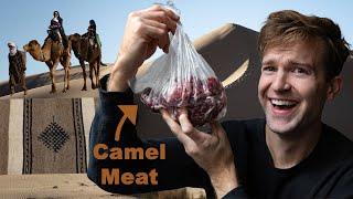 Camels in Morocco | Meat, Milk & Nomads