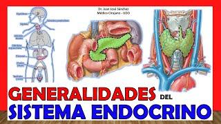  ENDOCRINE SYSTEM in 12 Minutes!!. Easy and simple!