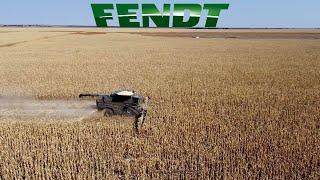 Fendt Ideal 10T // Geringhoff 24Row