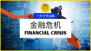 【一步步学金融】第八课 || 金融危机 Financial Crisis