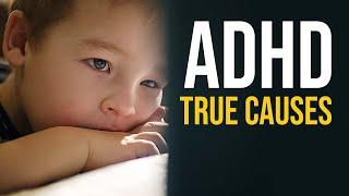 What Are the TRUE CAUSES of ADHD? | Dr. Richard Abbey