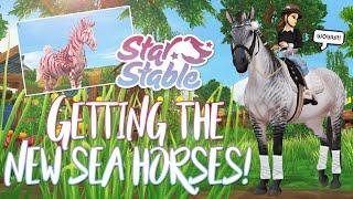 Buying both of the NEW SEA HORSES! | Star Stable Updates