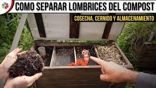 🪱 Como SEPARO las LOMBRICES del COMPOST | SECADO, COSECHA y ALMACENAMIENTO