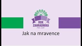 Jak na mravence