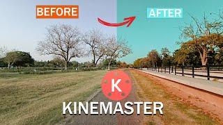 KINEMASTER VIDEO COLOR GRADING TECHNIQUES | VIDEO COLOR GRADING IN MOBILE | IN HINDI