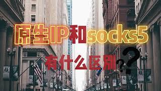 原生IP和socks5有什么区别？原生IP节点是什么意思？| 代理ip购买，日本住宅ip，海外动态ip，SmartProxy包含多种API参数