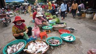 Morning Daily Activities & Lifestyle of Vendors Selling Food in Market - Phsa Kandal Street Market