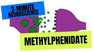 2-Minute Neuroscience: Methylphenidate