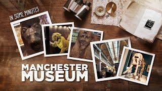 Exploring Manchester Museum: Wonders of History and Science!