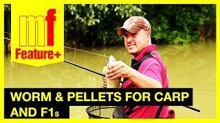 Worm and pellets for carp and F1s – Watch Steve Barraclough in action at Colmans Cottage