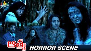 Telugu Horror Scene | Aatma Movie | Mahaakshay Chakraborty | Tia Bajpai | Sri Balaji Action