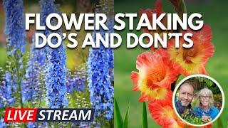 How to Stake Flowers: The Easy Do's & Don'ts