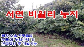 순천시 토지 1억5천7백만원  / 서면 비월리 호남고속도로 위 독립적인 위치의 개발 가능한 농지+임야 2,589㎡(약783평)