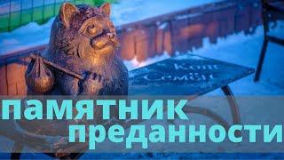 История мурманского кота-путешественника