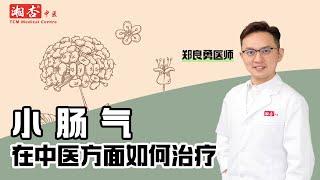 【郑良勇医师】网友问：“【小肠气在中医方面怎么治疗】会痊愈吗？｜湘杏中医