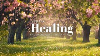 Sounds of Spring  Relaxing Piano Music for Healing, Focus, and Morning Meditation
