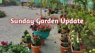 Sunday Garden Update -Part1/Garden Tour/ Garden Knowledge Hub