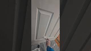 Painting doors