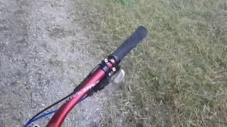 Ivan Tolic ride a bike on his way to the home from his work place through sheep's flock- Donau River