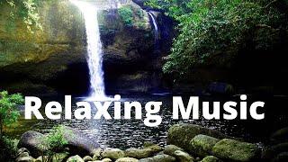 Nature with water sounds || relaxing music with forest water sounds || Aura - Knowledge and Energy