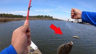 Catching a BAYOU Slam! Using LIVE Bull Minnows! #kayak #fishing