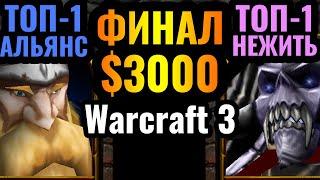 Happy vs Romantic: Новая Эра для Альянса?! Всё меняется в Warcraft 3: Финал турнира за $3000