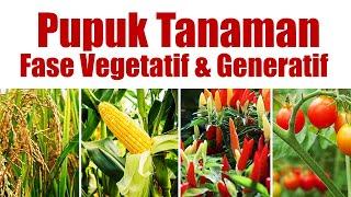 APA SAJA PUPUK UNTUK FASE VEGETATIF DAN GENERATIF.? | Agar tanaman subur & berbuah banyak